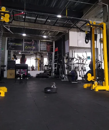 Gym Elite — segunda vista