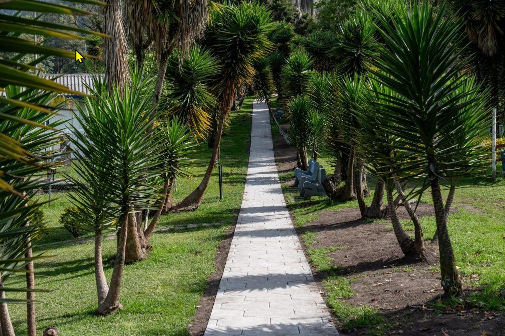 Bosque El Prado - foto 4