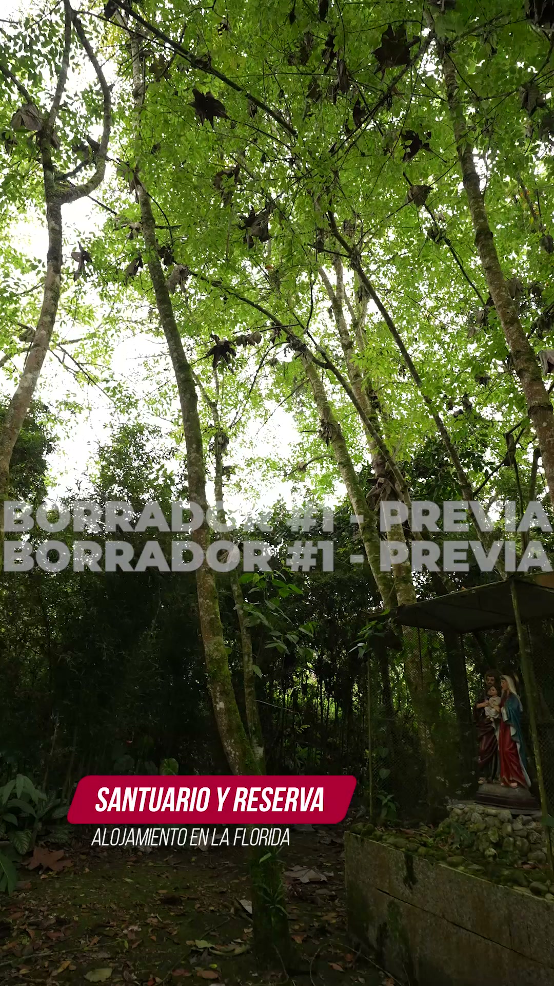 Finca Casa Rural La Florida - foto 4