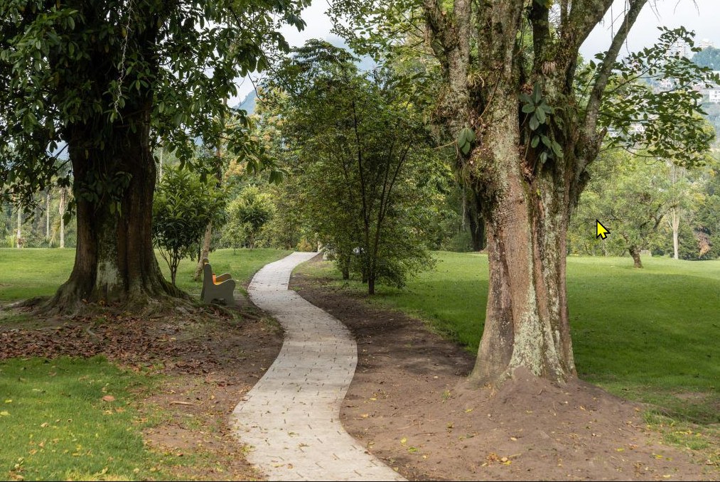 Bosque El Prado